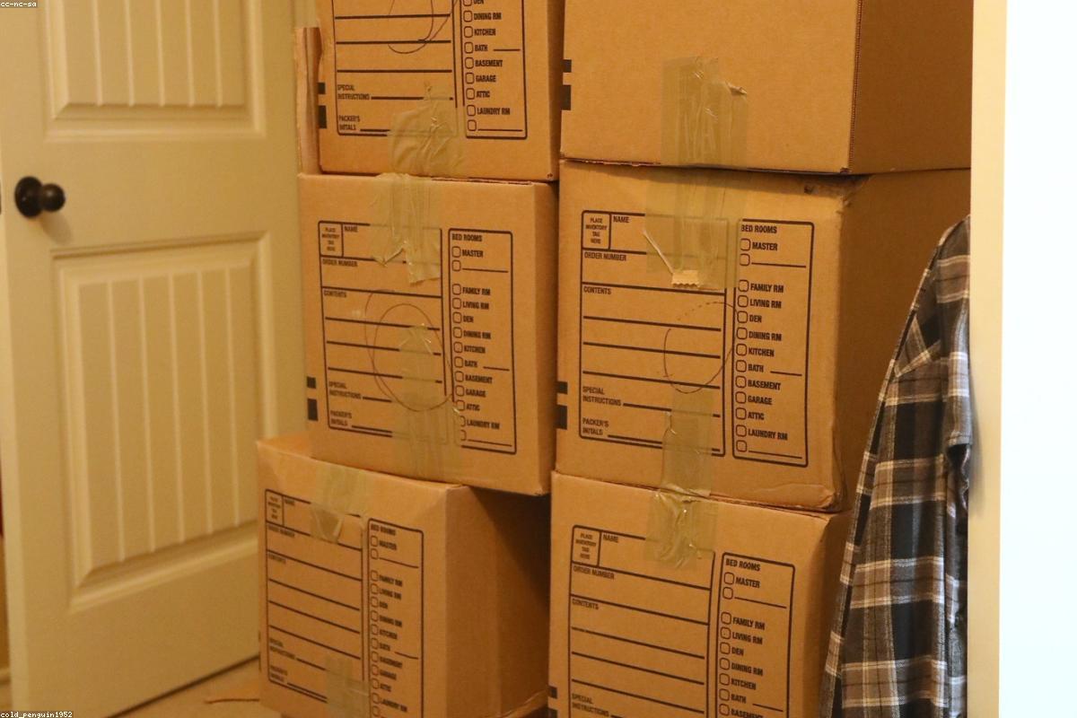 Labelled moving boxes stacked and ready for transport